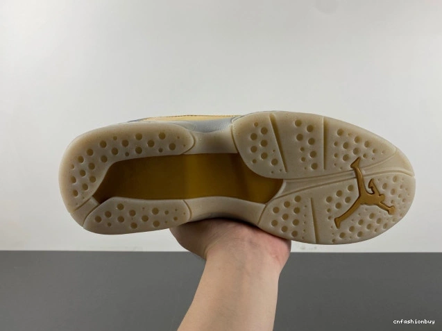 8 Champagne Jordan 832821-030 Retro 0809